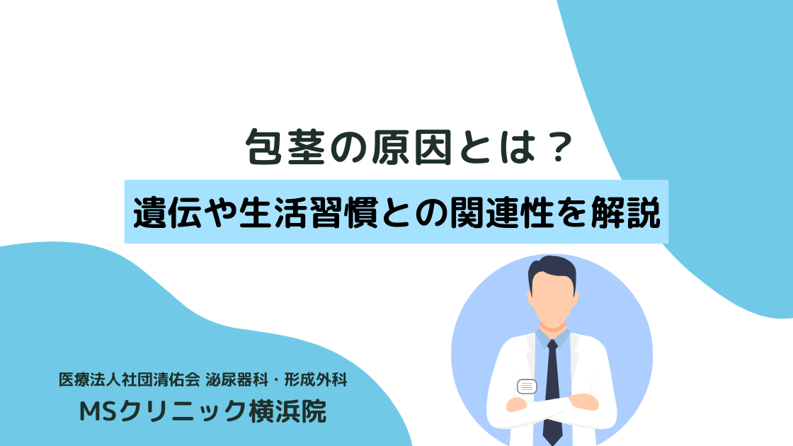 【医師監修】包茎の原因とは？遺伝や生活習慣との関連性を徹底解説