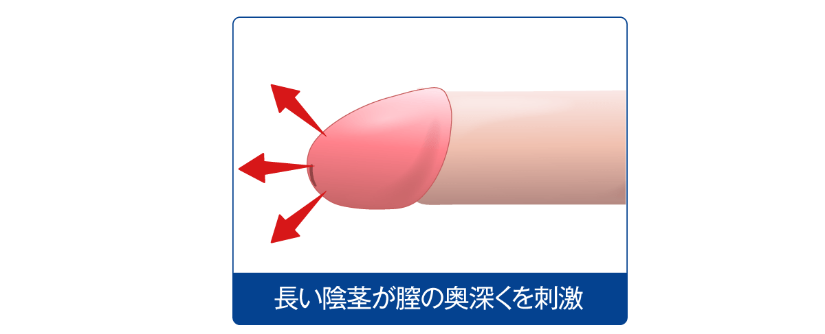 パートナーとのセックスライフが充実