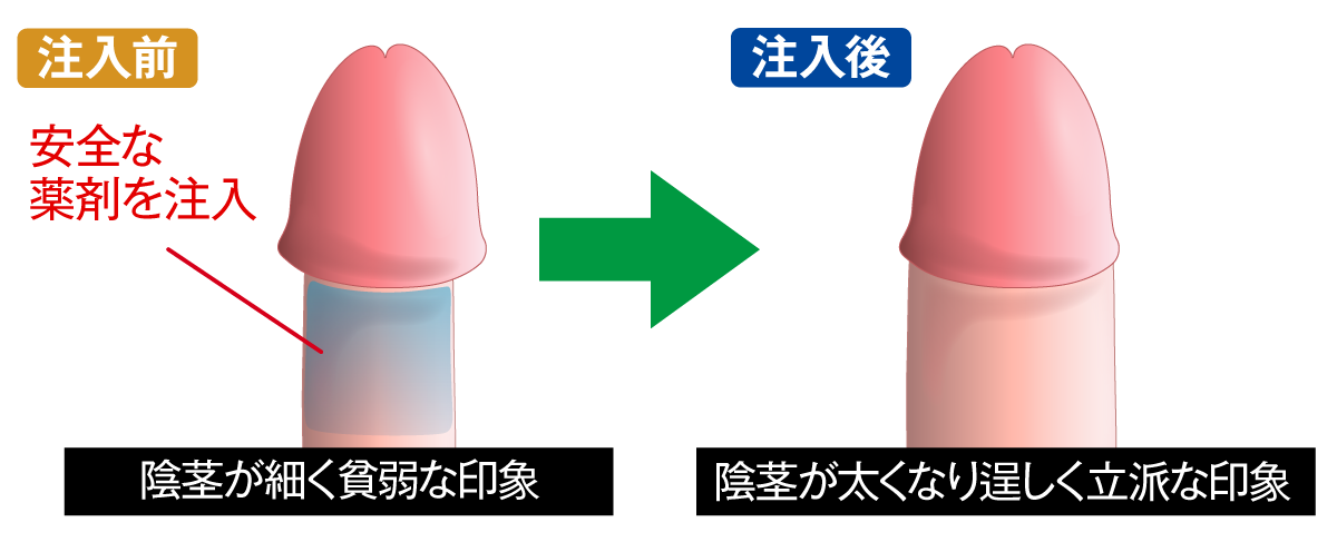 大きくバランスいい見た目に