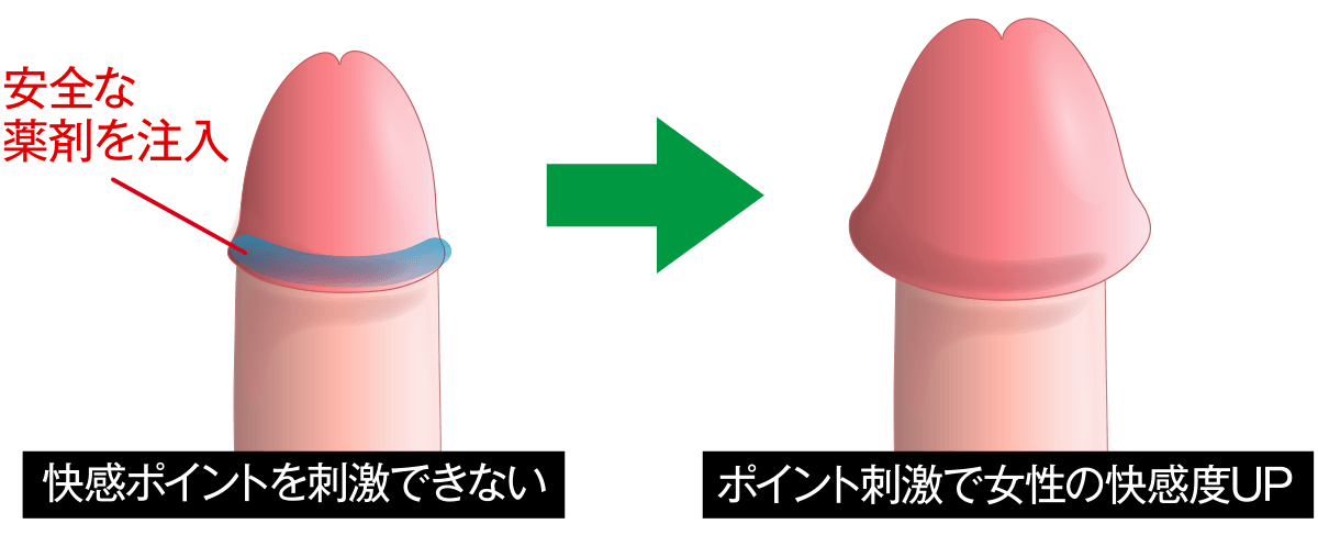 大きくバランスいい見た目に