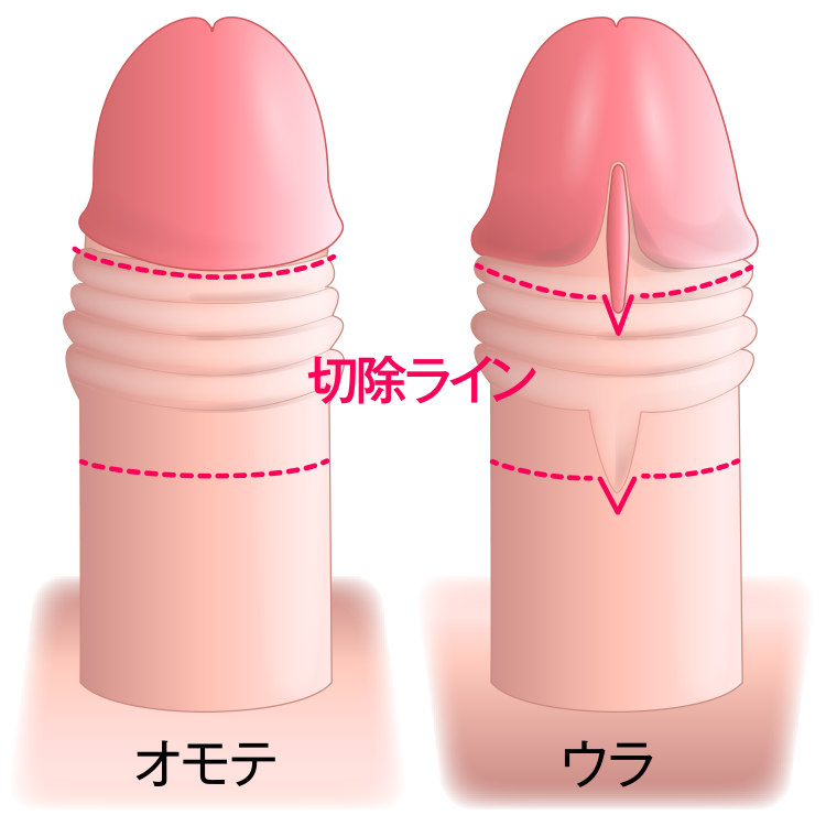 デザイン